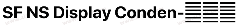 SF NS Display Conden字体转换
